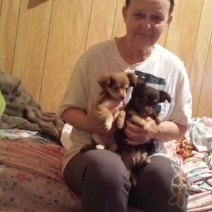 Meet your Posher, Judy